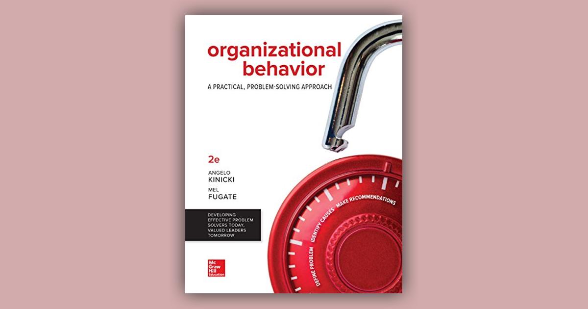 organizational behavior a practical problem solving approach 3rd edition