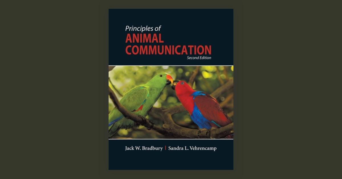 research papers animal communication