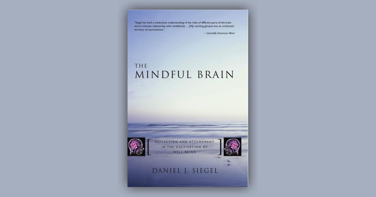 The Mindful Brain: Price Comparison On Booko