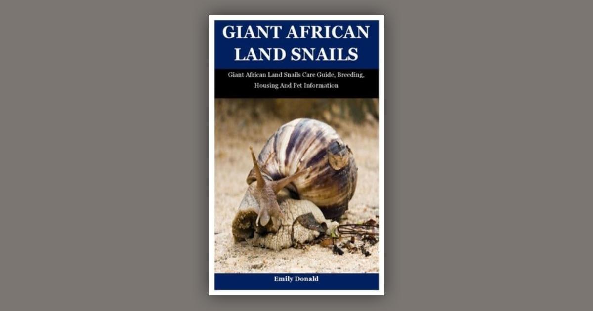 Giant African Land Snails: Giant African Land Snails Care Guide