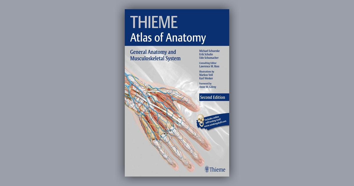 Booko Comparing prices for THIEME Atlas of Anatomy General Anatomy