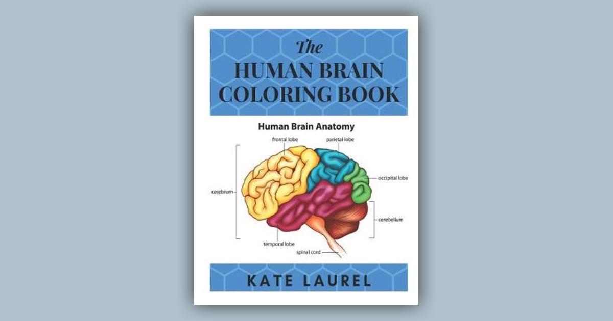 The Human Brain Coloring Book Human Brain Student's SelfTest Coloring